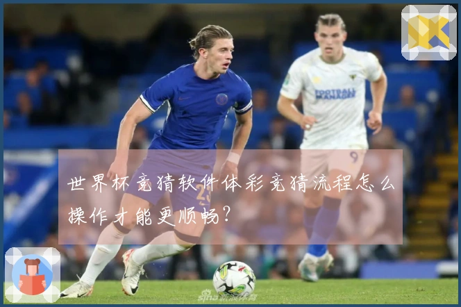 世界杯竞猜软件体彩竞猜流程怎么操作才能更顺畅？