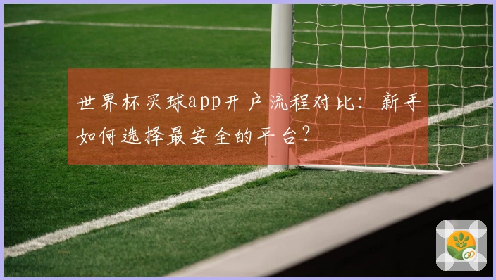 世界杯买球app开户流程对比:新手如何选择最安全的平台?